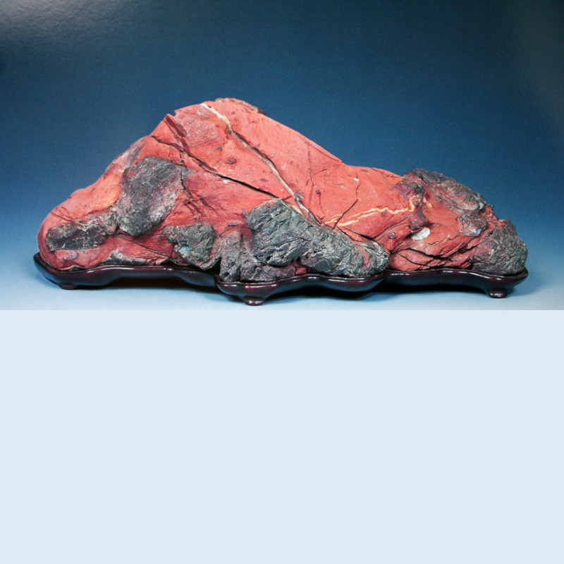 Bonsai Suiseki Magazine libri e risorse gratuite per chi si avvicina ai bonsai e dei suiseki